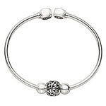 Captured Hearts Starter Set